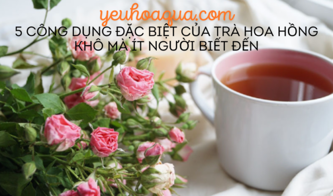 5 công dụng đặc biệt của trà hoa hồng khô mà ít người biết đến