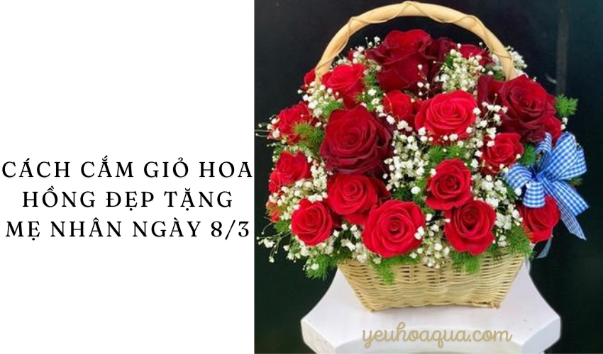 Cách cắm giỏ hoa hồng đẹp tặng mẹ nhân ngày 8/3