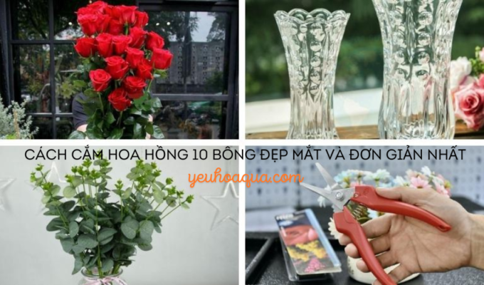 Cách cắm hoa hồng 10 bông đẹp mắt và đơn giản nhất