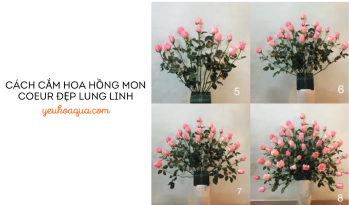 Cách cắm hoa hồng Mon Coeur đẹp lung linh