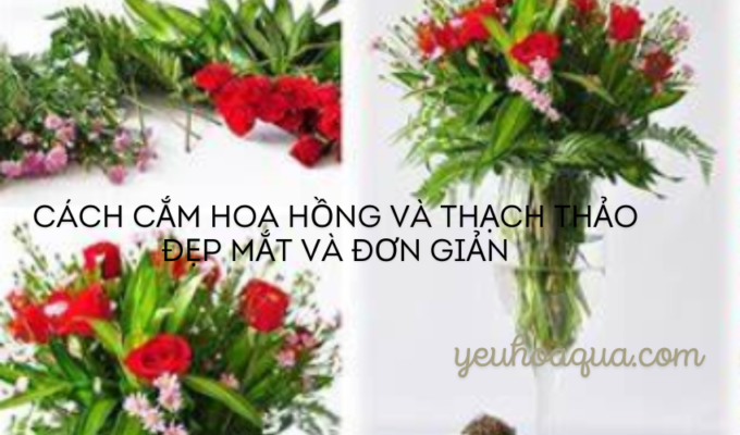 Cách cắm hoa hồng và thạch thảo đẹp mắt và đơn giản