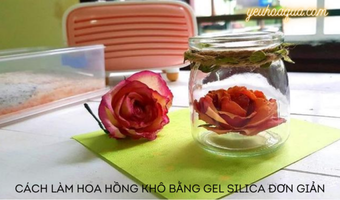 Cách làm hoa hồng khô bằng Gel Silica đơn giản