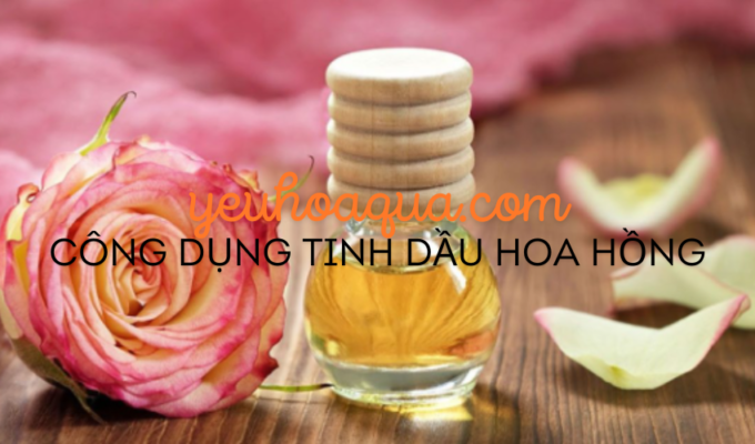 Công dụng tinh dầu hoa hồng: Tác động tích cực đến làn da và tâm trí