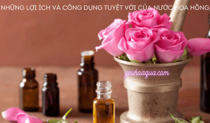 Những lợi ích và công dụng tuyệt vời của nước hoa hồng